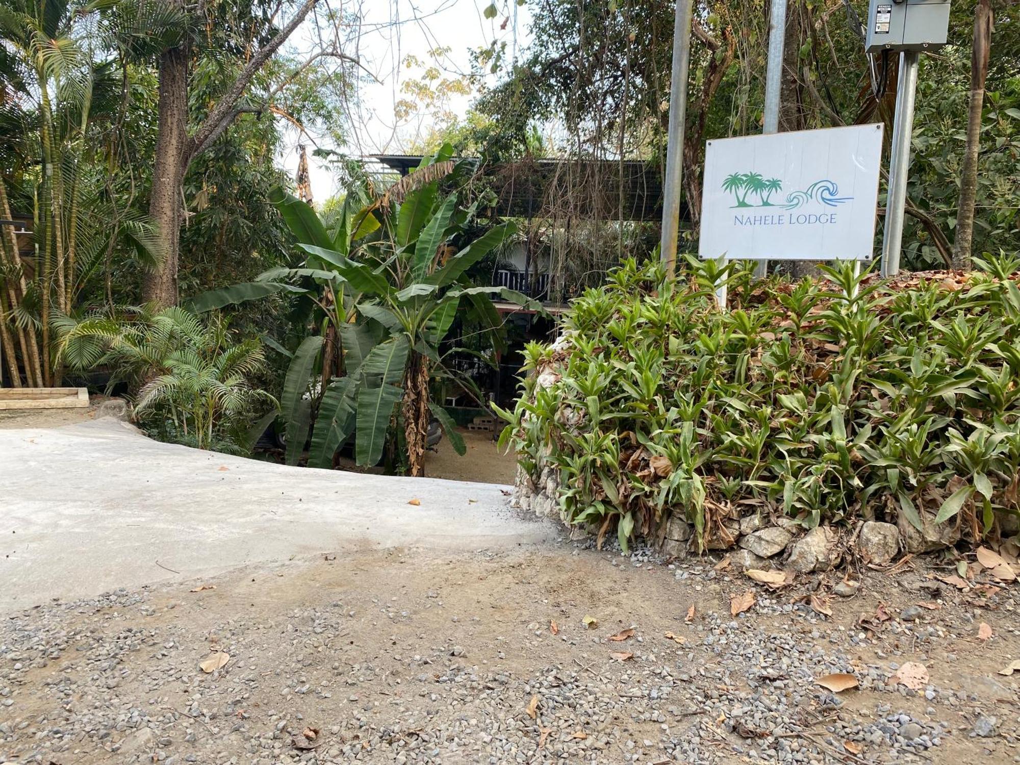 Nahele Lodge Playa Santa Teresa  المظهر الخارجي الصورة