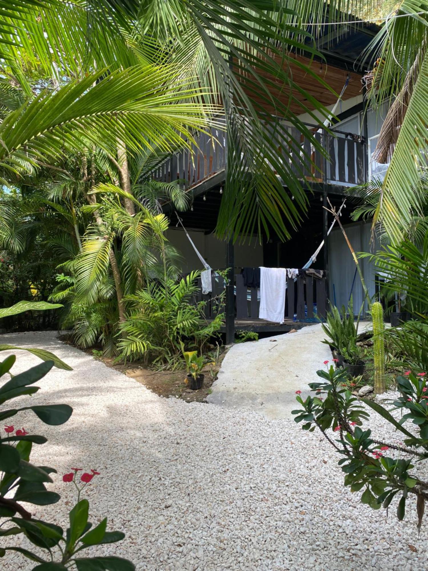 Nahele Lodge Playa Santa Teresa  المظهر الخارجي الصورة